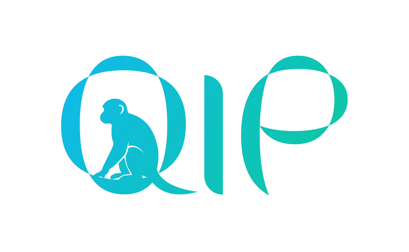 logo QIP Conference Website